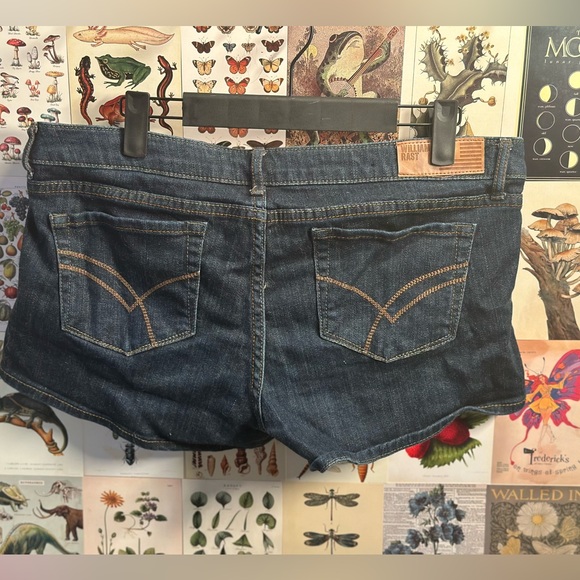 William Rast jean shorts. Size 30. Worn twice. Perfect condition. - Picture 4 of 4